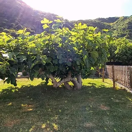 Alo Baia Sao Lourenco * Santa Bárbara