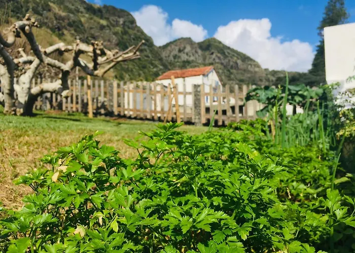 Alo Baía São Lourenço *